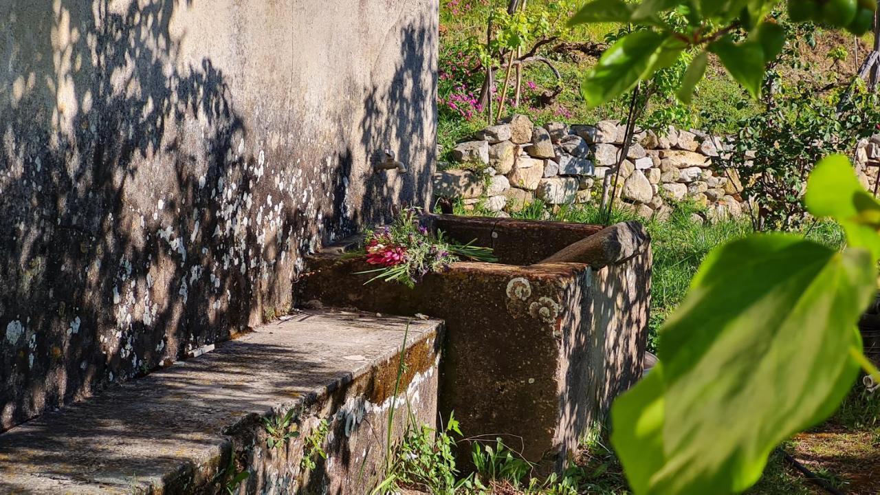 La Casina Di Redinoce Apartman Marciana Kültér fotó